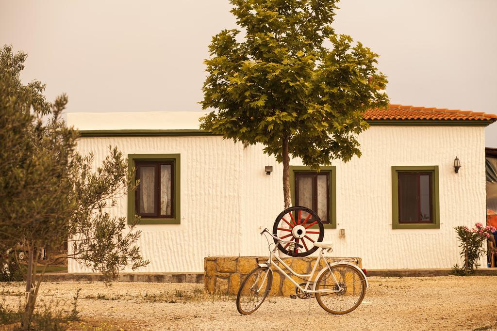 Bagban Bozcaada Bed & Breakfast Luaran gambar